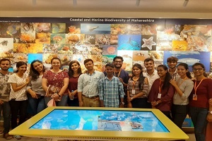 mission mangroves project mission mangroves project