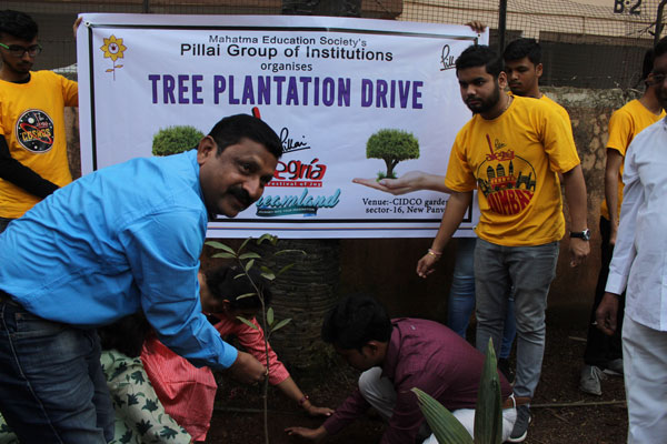 tree plantation drive 5