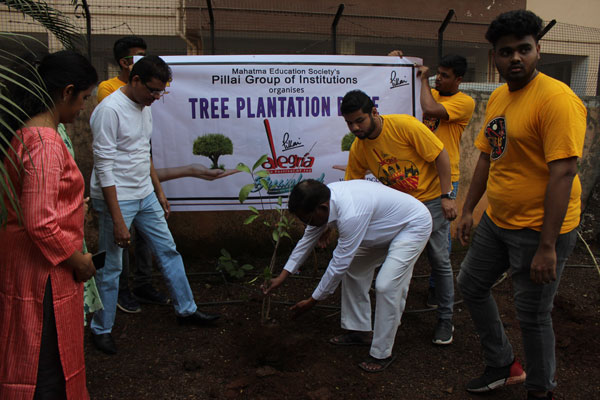 tree plantation drive 6