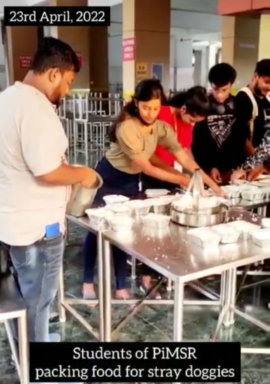 stray doggies feeding drive 5