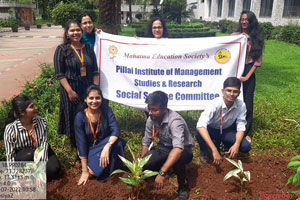 tree plantation drive tree plantation drive