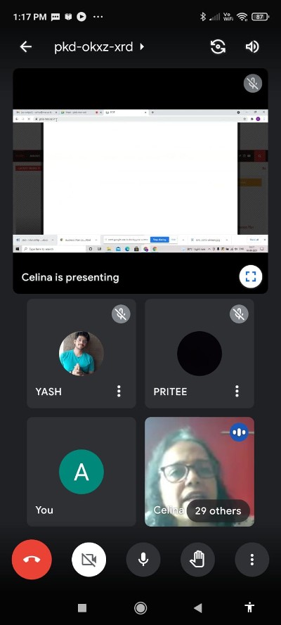 orientation on business plan 2021 22 phimsr 2