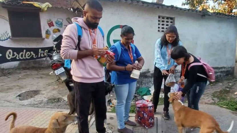 animal feeding drive 2