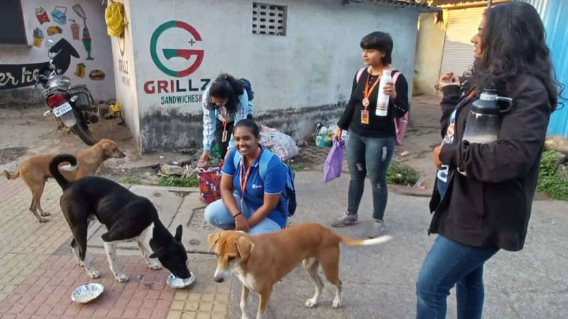 animal feeding drive 5