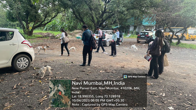 observance of world animal day 2