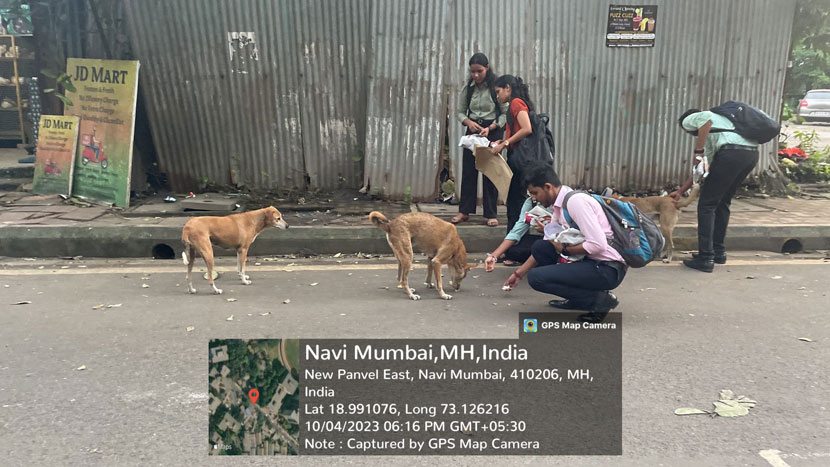 observance of world animal day 3