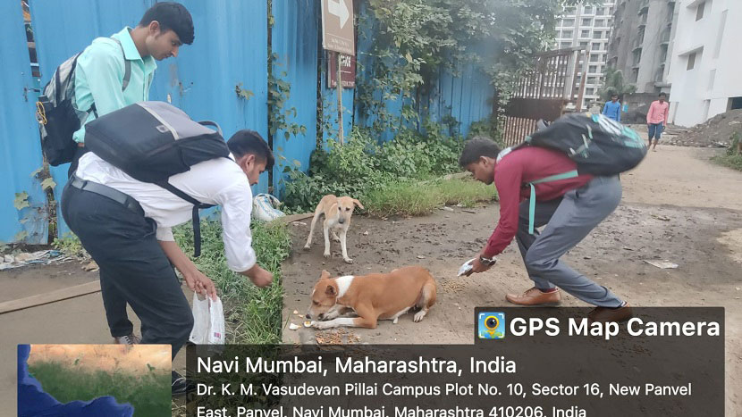 observance of world animal day 4