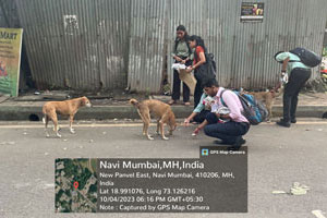 observance of world animal day observance of world animal day